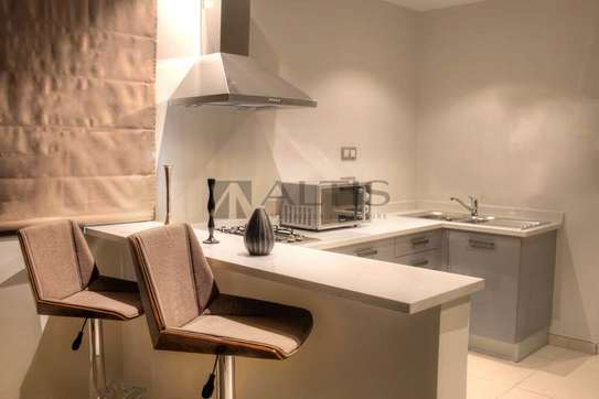 DUPLEX F2 MEUBLÉ - MERMOZ image 3