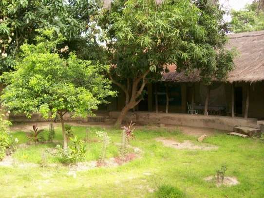 Campement villageois d’Affiniam image 2