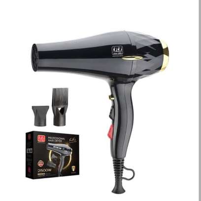 Kiki Sèche-Cheveux Professionnel, Moteur AC 2500 W image 9