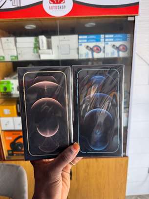iPhone 12 Pro Max image 3