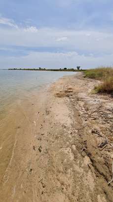TERRAIN EXCEPTIONNEL À VENDRE – ÎLE DE SIMAL SINE-SALOUM image 4