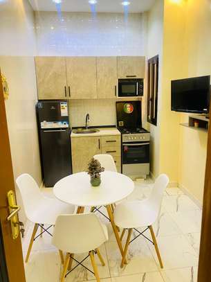 MINI STUDIO MEUBLE MERMOZ (à partir de 10 jours de location) image 7
