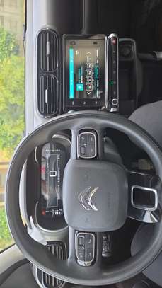 C4 Cactus 2021 image 2