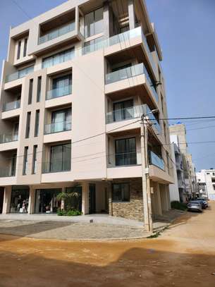 Appartement f4 haut standing aux mamelles image 13