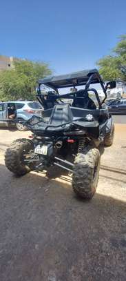Buggy zforce 1000 image 3