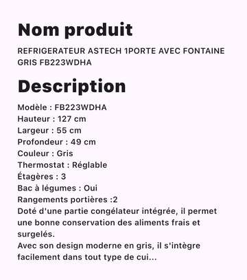 Réfrigérateur Astech Gris avec fontaine d'eau image 6