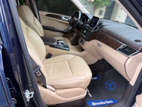 GLE image 13