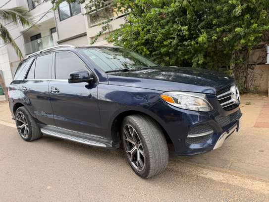 GLE image 12