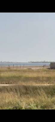 TERRAIN À VENDRE – ÎLES DU SINE-SALOUM image 7