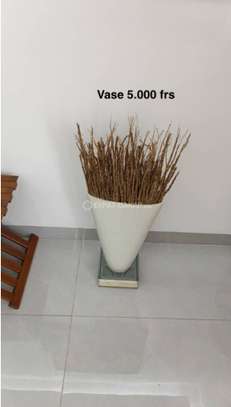 A VIDER image 3