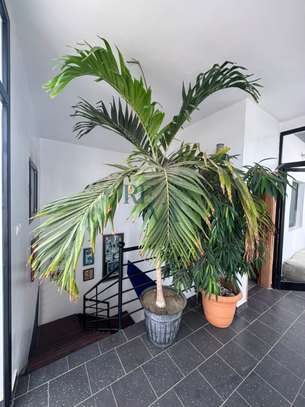 VILLA R+4 À VENDRE À OUEST FOIRE image 2