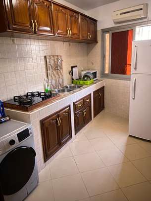 Appartement Mermoz Pyrotechnique image 9