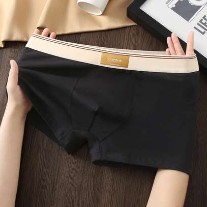 Boxers homme 100% cotton lot de 5 pièces image 4