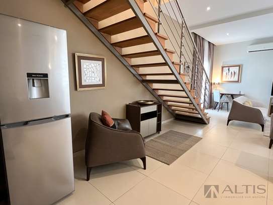 APPARTEMENT F2 EN DUPLEX - MEUBLÉ - MERMOZ image 3