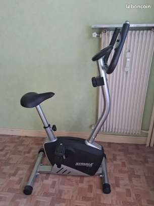 Vélo d'appartement magnétique Striale SV-326 (Care Fitness) image 2