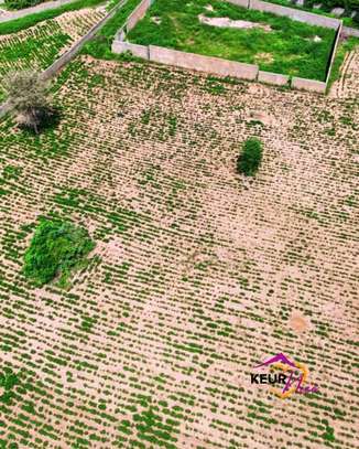 Terrains de 1000 m² à vendre à Saly image 7