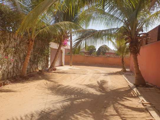 A vendre Terrain 1250m2 à Saly, 2000m de la plage image 3