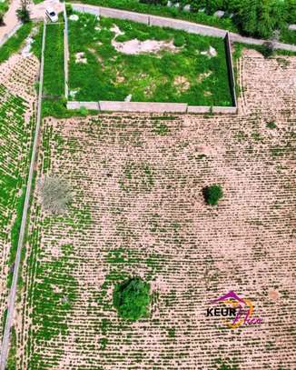 Terrains de 1000 m² à vendre à Saly image 8