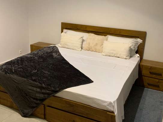 APPARTEMENT MEUBLÉ À LOUER MERMOZ image 6