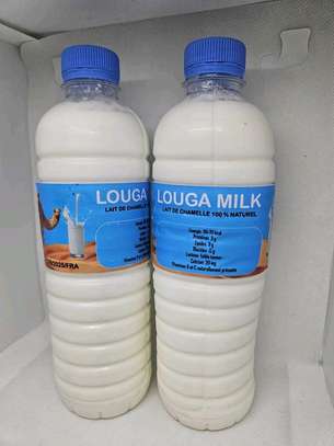 Lait de Chamelle Trésor du désert image 7