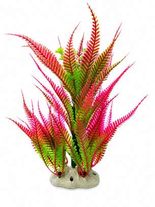 Plante image 2