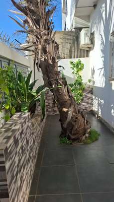 Villa R + 1, 225 m2,  Cité Ridwan,  M'Bao TF image 4