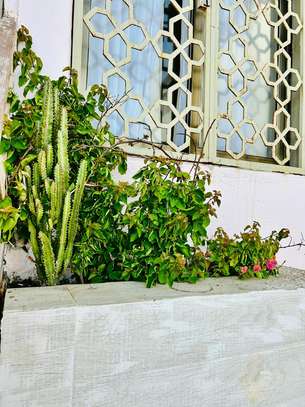LA PREMIERE TINY HOUSE DES ALMADIES, PIEDS DANS L'EAU image 3