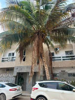 APPARTEMENT F3 AUX MAMELLES image 8