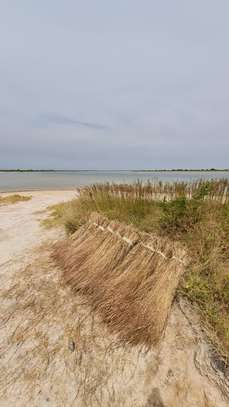 TERRAIN EXCEPTIONNEL À VENDRE – ÎLE DE SIMAL SINE-SALOUM image 9