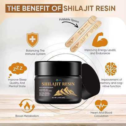 Shilajit Résine Pure image 3
