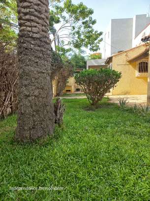 DAKAR ALMADIES : Terrain à vendre 980 m2 – TF image 4