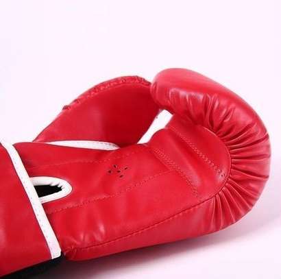 Everlast Gants de boxe Professionnel image 4