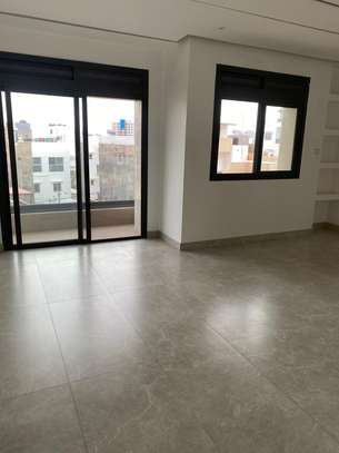 Appartement grand standing a louer aux Mamelles image 2