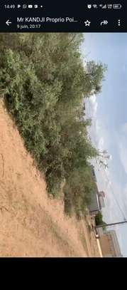 4500 m² à vendre à Saly center à Mbour sur la petite côte image 12