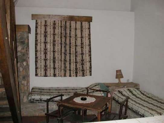 Fiirek image 2