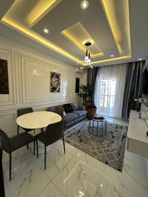 Studio  meublé de 1 chambre salon à louer image 3