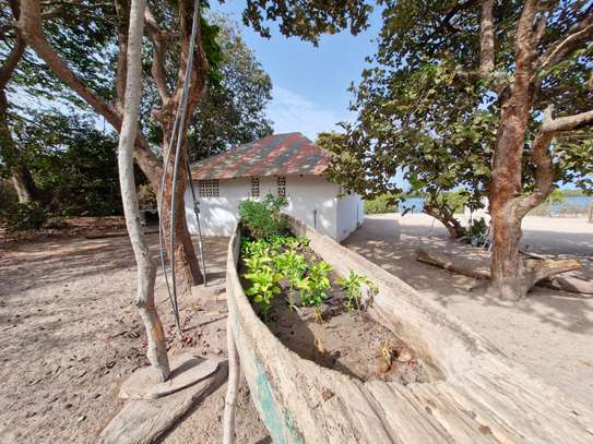 Campement Karaume - Île de Djissor image 13