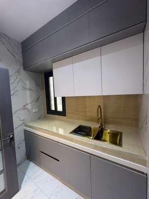 MINI STUDIO FASS VERS ISM image 2