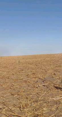 Terrain 300 m2 Malicounda Takhoum Extention image 2