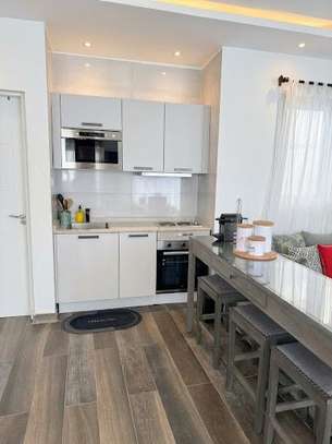 Appartement meublé+grande terrasse - Mamelles image 3