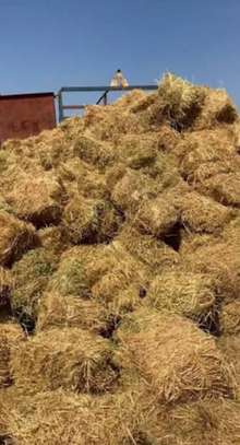 Vente son et pailles de riz image 3