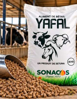 Aliments bétail YAFAL image 2