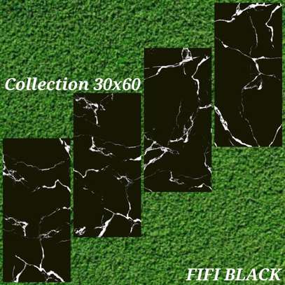 Carreaux Faïence 30X60 image 9