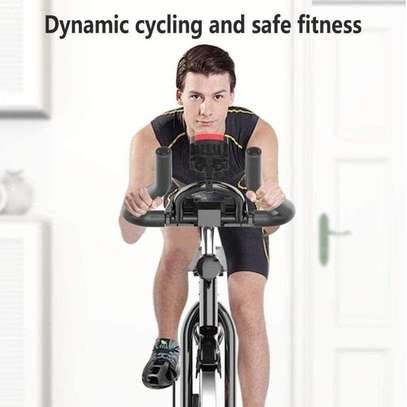 Vélos d'exercice professionnel, Vélo stationnaire à domicile image 2