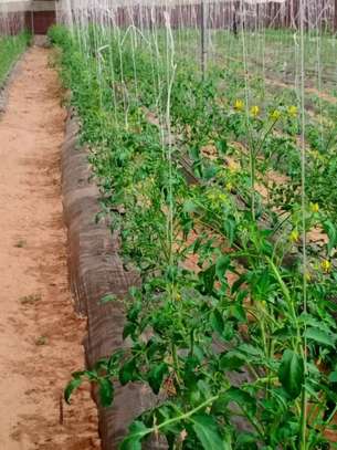 LIVRAISON FRUIT LEGUME ENGRAIS SEMENCE CAMION FRIGO 20M3 image 11