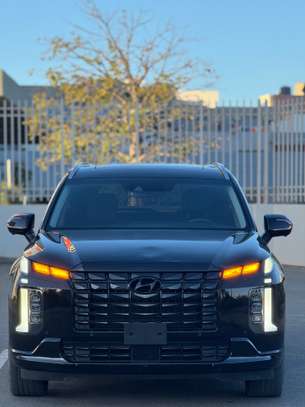 Hyundai palisade image 1
