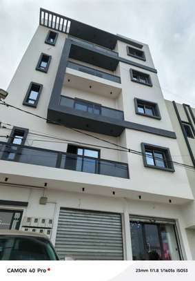 APPARTEMENT AUX MAMELLES image 2