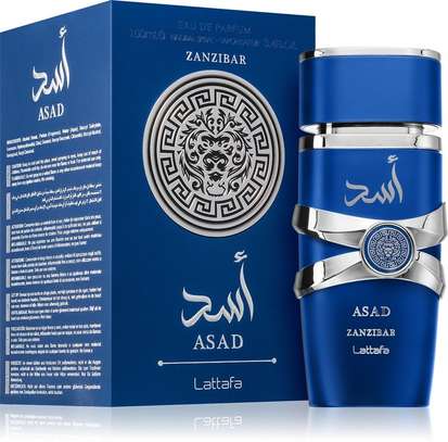 Asad Zanzibar Eau de Parfum pour Homme - 100 ML image 2