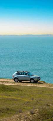 chauffeur image 1