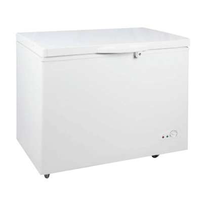 CONGÉLATEUR 400LITRES RISING HORIZONTAL BLANC image 1